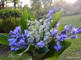 colline,orchidée,nature,jardin fleuri 089.JPG