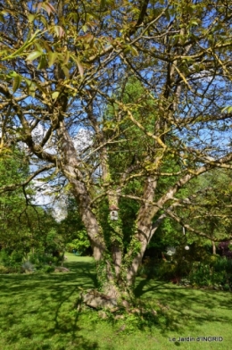 jardin soir et matin 038.JPG