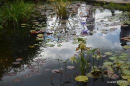 orage,puces,bouquet,Anniv.Ines,Brantome,Jardins d'eau 336.JPG