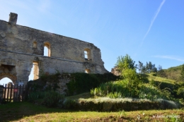 gastéropodes,les cygnes,marché,l'Abbaye Nouvelle,jerdin 034.JPG