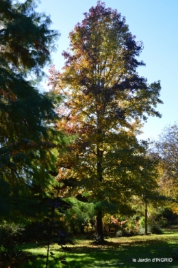 jardin automne,voisinage,canal 137.JPG