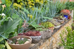 jardin,chez Bernadette,puces,cygnes,pluie 188.JPG