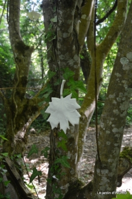 Fouleix,cygnes,Inès,jardin 068.JPG