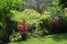 aout jardin 012.JPG