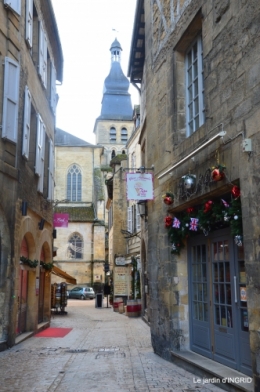 décos Noel au jardin,Sarlat,étoile en osier 096.JPG