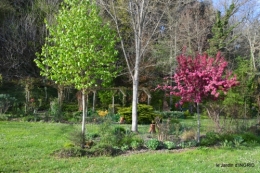 jardin printemps 026.JPG