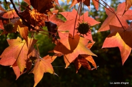 anniversaire Mamy,chateau d'eau,jardin automne 079.JPG