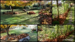 2014-11-21 jardin et travaux d'automne.jpg