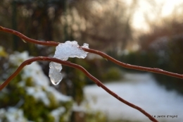 Neige en dordogne,jardin 159.JPG