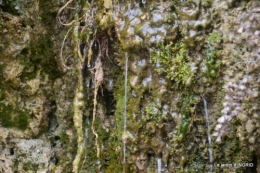la Roque Gageac,Ines,jardin 077.JPG