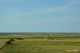 la baie de Somme 111.JPG