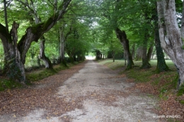 jardin pluie,chateau Losse 121.jpg