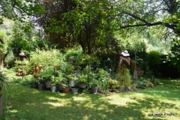 bienvenue au jardin,juin jardin 184.JPG