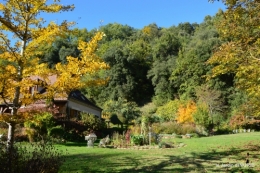 jardin automne,voisinage,canal 165.JPG