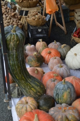 champignons,citrouilles,st Mayme de Péreyrol,fuschias,jardin aut 071.JPG