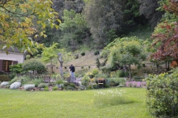 jardin,premières roses,colline,avant l'orage 037.JPG