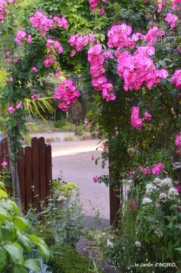 jardin,chez Bernadette,puces,cygnes,pluie 059.JPG