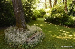 roses,marguerites,MOI,fêtes des mères avec les enfants 039.JPG