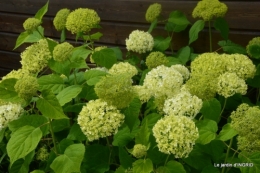 inondation,jardin,oeufs cygnes,chez Nathalie 095.JPG