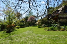 tour de jardin d'avril ,tonte 042.JPG