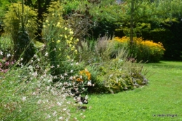 aout jardin 074.JPG