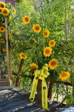 tournesols,podium,Lucas,jardin,Calès 044.JPG