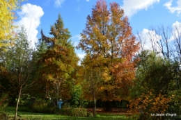 jardin serre bucher automne 046.JPG