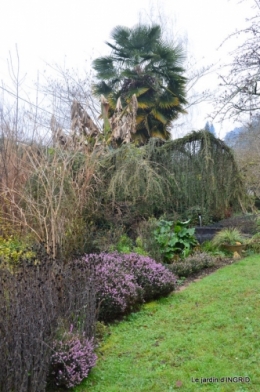 jardin d'hiver 054.JPG