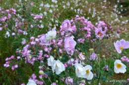 jardin Mme Perichou,grandes fleurs,bouquet,jardin 032.JPG