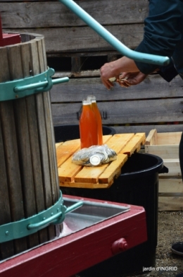 fête de la citrouille,jardinage,jardin 022.JPG