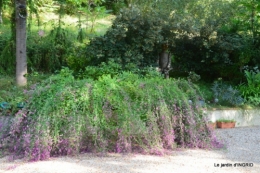 male ancienne,septembre jardin,couronne,bouquet 064.JPG