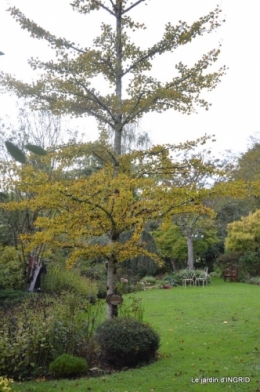 citrouille fleurie,décos jardin,automne 013.JPG