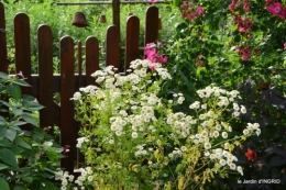 potager,chenille,pour le 18 juin,tour du jardin 088.JPG