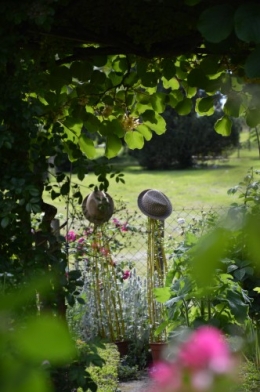 tour du jardin en juin 101.JPG