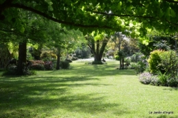 jardin avril et mai, 111.JPG