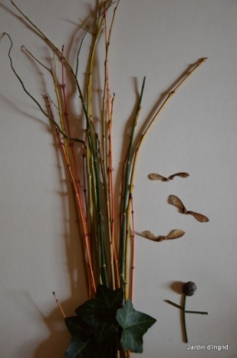 matin d'hiver,tableaux de fleurs janvier 067.JPG