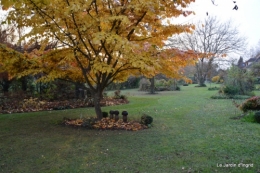 jardin propre,bruyères 024.JPG