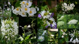 2014-08-17 Lalinde,toiles d'araignées,les filles à St Astier.jpg