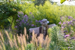 jardin en septembre,les cygnes 034.JPG