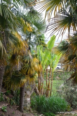 la Roque Gageac,Ines,jardin 086.JPG