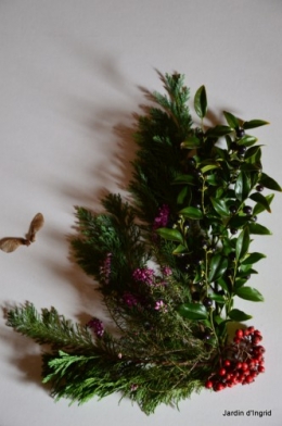 matin d'hiver,tableaux de fleurs janvier 051.JPG