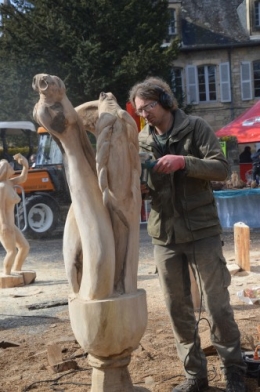 anniversaire Brigitte,fête de l'arbre Montignac,jardin 089.JPG