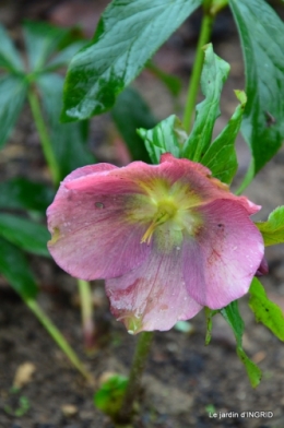 jardin en hiver,à Ciron 093.JPG