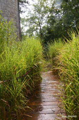 cornouiller,Limeuil,Campagne, 113.JPG