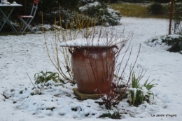 Neige en dordogne,jardin 141.JPG