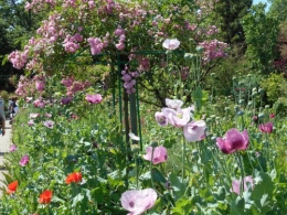 Normandie,jardin Monet,baie de Somme,chez Marylaur 189.JPG