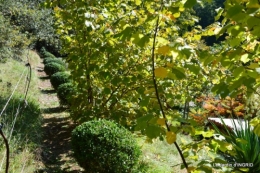 rhus,colline,buis taillé,noix,manthe religieuse,bouquet 092.JPG