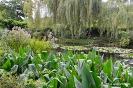 bouquet,jardin de Monet,les vaches,Pourville sur mer 100.JPG