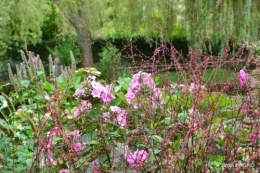 bouquet,jardin de Monet,les vaches,Pourville sur mer 115.JPG