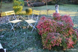 colline,jardin givré 010.JPG